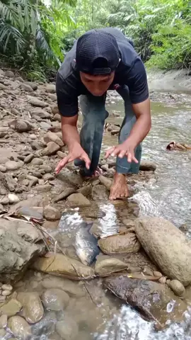 mimpi nangkap ikan #fyp 