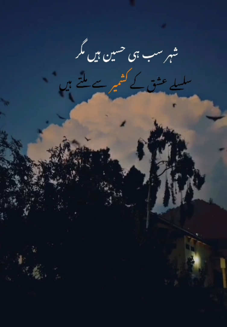 Your fav song♥️✨ #standwithkashmir #growmyaccount #foryoupage #unfrezzmyaccount #foryou 