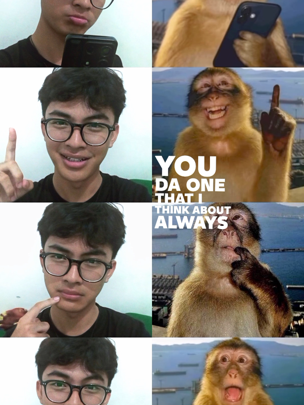 🙉 #trend #monkeys #foryou #4u #fyp 