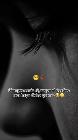 #flypシ🤗❤️🙏viral_foryoutik_tokpage 