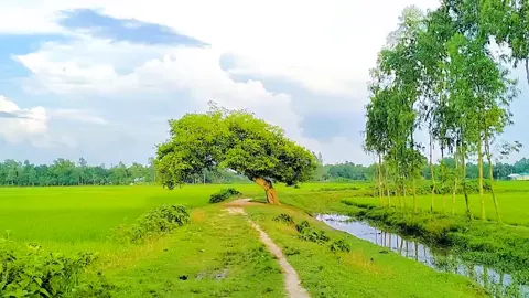 সুন্দর বানি আছে  লেখা থাকে #আনিসুর_রহমান_আশরাফী💖💖 #ফরইউতে_দেখতে_চাই #প্রকৃতির_অপূর্ব_সৌন্দর্য🥰 #ইসলামিক_ভিডিও_🤲🕋🤲 #বাংলাদেশি_ভাইরাল_টিকটক_ 