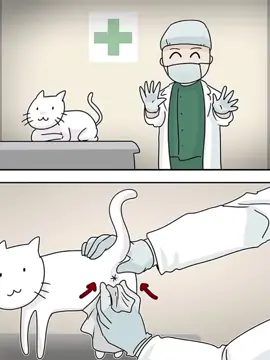 #ブルーアーカイブ #bluearchive #abydos #serika #shiroko #cat