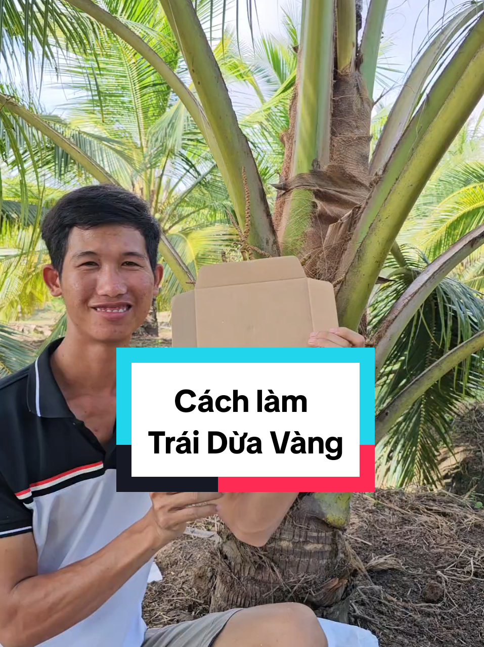 Cách làm trái dừa vàng để trang trí bằng lá dát vàng đơn giản. #ladatvang  #datvang  #caydua🌴  #nhanongmientay 