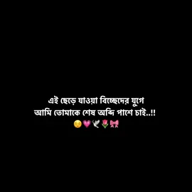 আমি তোমাকে শেষ অব্দি পাশে চাই 🥺💝 																						 #fyp #foryou #foryoupage #viralvideo #bdtiktokofficial 