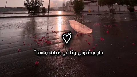 #تصميمي❤️ #تصميم_فيديوهات🎶🎤🎬 #شيلات_فخمة❤️ #اكسبلورexplore❥🕊🦋💚❤ 