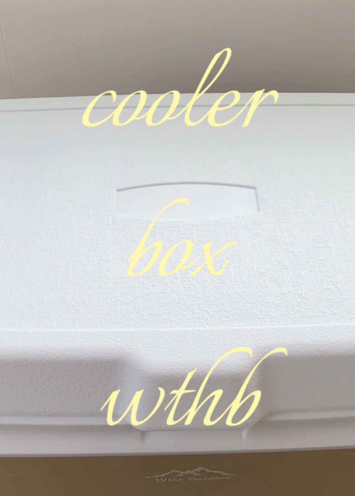 Ice box cooler - summer must have! #wthb #insulatedbox #ic#iceboxceboxcooler #coolericebox @Wthb Outdoor