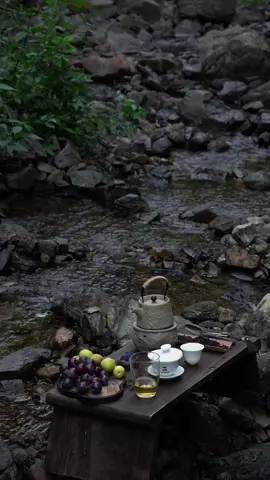 Tâm định sự tự thuận…🪷 #hoatam #tradao #binhyen 