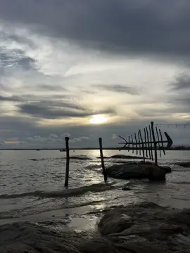 có những lúc anh mơ