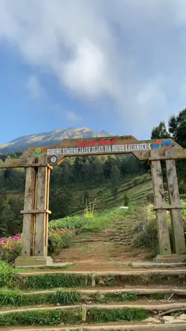 jalur terdekat dari jogja👌 #sumbingmountain #kaliangkrik #pendakigunung #fyp #foryou 