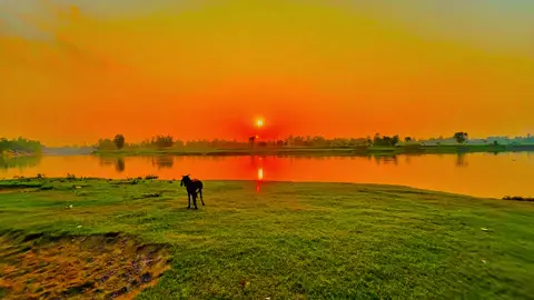 মায়ায় পইরো না ,ধ্বংস হইয়া যাইবা.... 😅💔🌿#viral #anfeezemyaccont #sky #greenscreen #viral_video_tiktok 