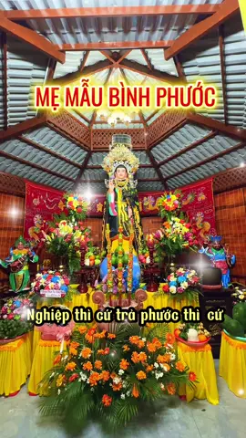 Mẹ Mẫu Bình Phước #dieutrikimmau #tamlinh 