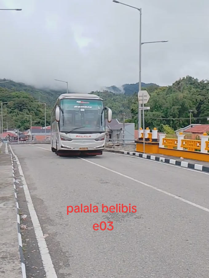 ingek roda tu baputa sanak  @Palala Padang panjang @officialpalalabarulak @palalapayakumbuh @Po.palala bus @palalabus  #fyp #storyminang #minangtiktok #storybus #bussumatera 