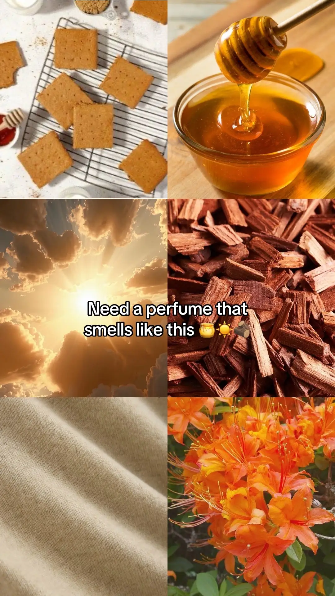 I see the vision #perfume #scentcombo #honeysuckleperfume #perfumetiktok #fragrancetiktok 