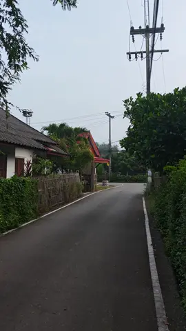 มันเป็นไผบะ555 #วิถีบ่าวเคิ้น #บ่าวยองป่าซาง 