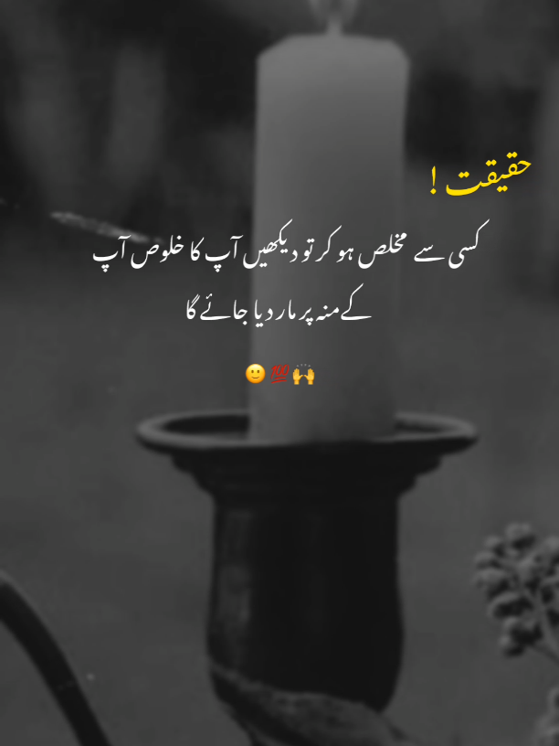 𝑻𝒓𝒖𝒆 𝑳𝒊𝒏𝒆𝒔 ✨ ‎#truelines#dontundereviewmyvideo #poetrylovers #pleasetiktokviralmyvideo #alfazefarhan