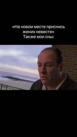 Каждый раз 😅🧌 #клансопрано #сопраномем #тонисопрано #thesopranos #fyp 