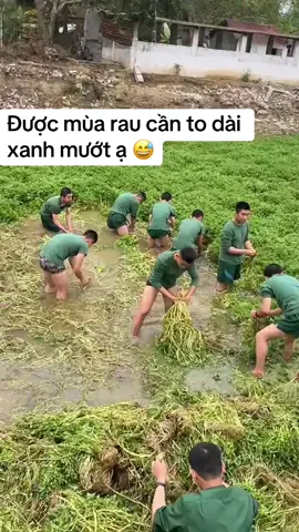 Tăng gia.vui vẻ !#xuhuong #trending #viral #fyp #tiktok 