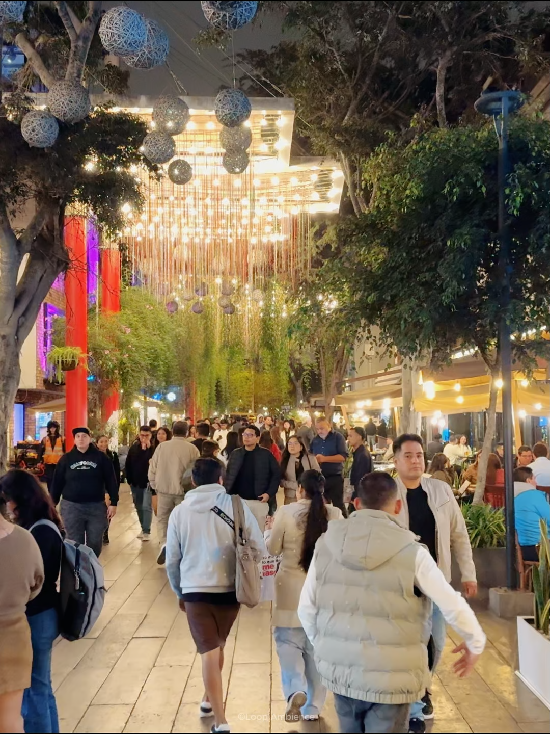 Descubre la magia de Miraflores de noche 🌃✨. Un recorrido por sus rincones más vibrantes: desde el ambiente gastronómico de Mercado 28, el movimiento en Parque Kennedy, hasta los shows callejeros inspirados en Michael Jackson 🎤🕺. Cruzamos el icónico Puente de la Paz y caminamos por el encantador Pasaje San Ramón, donde la energía nocturna cobra vida entre luces, música y cultura limeña. #Miraflores #LimaPeru #VidaNocturna #TravelTikTok #ParqueKennedy