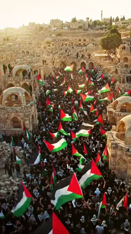 Free Palestine 🇵🇸 #freepalestine #standwithpalestine #palestineprotest #foryou #foryoupage 