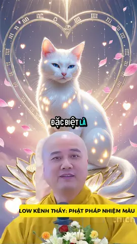 Người tuổi Mão hay mất ngủ mệt mỏi nên nghe nhé #tuoimao #phongthuytamlinh #thayphaphoa #congiapmayman #vongtayphongthuy 