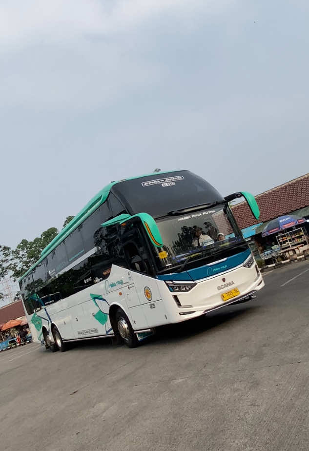 Monster transjawa🫨🔥 #rimbaraya#rimbarayabus#transjawa#vidiobus#huntingbus 