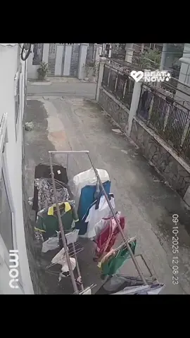 Xuống nhà cất quần áo thì không thấy đồ l.ót đâu, ngồi check cam mới biết thủ phạm 🤦‍♀️