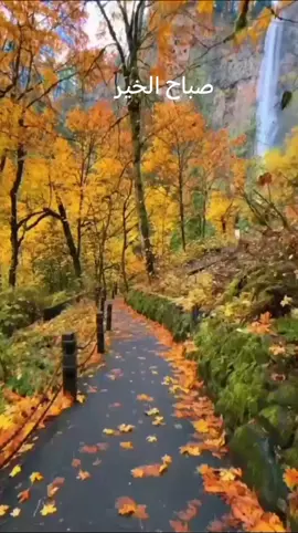 #صباح الخير 
