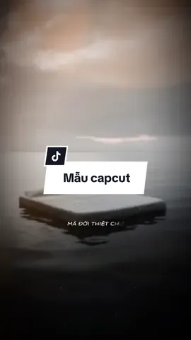 #CapCut đã học ngu r tình cũng... #thuancapcut #LearnOnTikTok #capcutmaster #xuhuong 