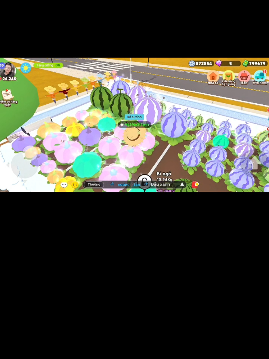 Cách để có bí to, dừa to, trái biến thể #playtogether #playtogethervng #ptgcreator #GamingOnTikTok #hatmesitinh 