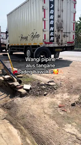 Hehe