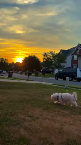 Đúng năm tuổi phạm thái tuế :WIPE  Công danh sự nghiệp tai tiếng trả hết trong 1 năm vậy 