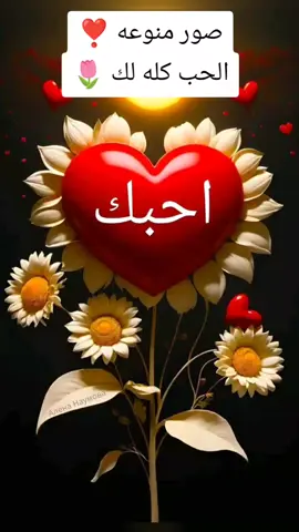 صباح خير #محمود_الجبلي #مشاهدات #tiktokarab #explor 