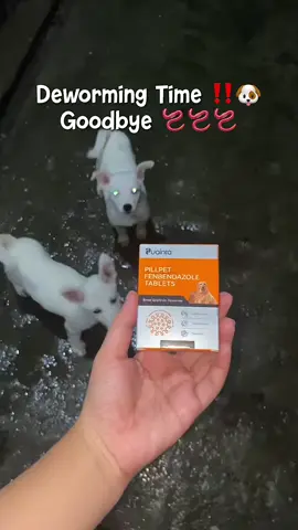Deworming Time!!✅‼️ #dewormer #dewormingdogs #deworming 
