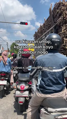 Srengengene mletek ndek nduwur sirah #viral #panas #trending #blitar24jam #srengat 