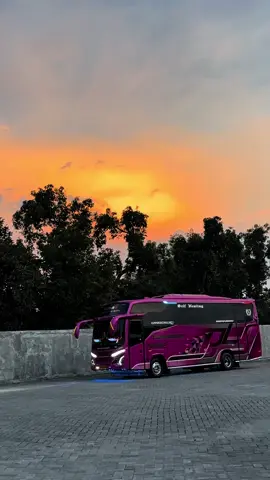 Senjaaaaaaa @phdtrans #buspariwisata #bintanglautholiday #fypage #medium 