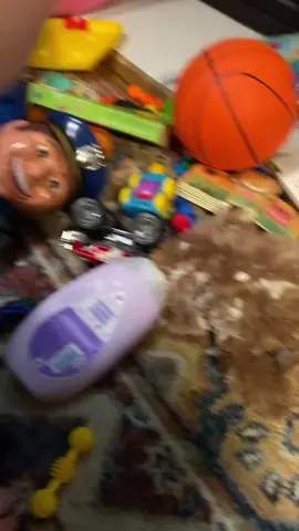 Throwback to Tootie and his mess in the livingroom. #onthisday #CastleCares #Tootie #Father #Son 