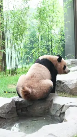 🗓 14/10/2025 Ở Việt Nam mà nghe được tiếng 