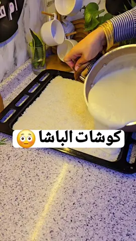 كوشات الباشا