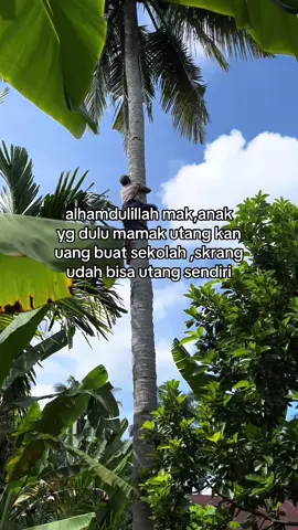 #fypシ゚viral #batak #katakata #bataktiktok #foryoupage 