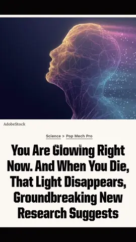 Did you know that you’re glowing right now? Alright, it is only very, very faintly. Too faintly for the human eye, in fact, but thanks to biophotons you glow alongside every other living thing. Now, new research into mice and plants has shown how that light can alter under stress, and be extinguished by death. It’s quite possible that when we’re snuffed out, the world really does lose a little light. #light #life #death #strange #human 