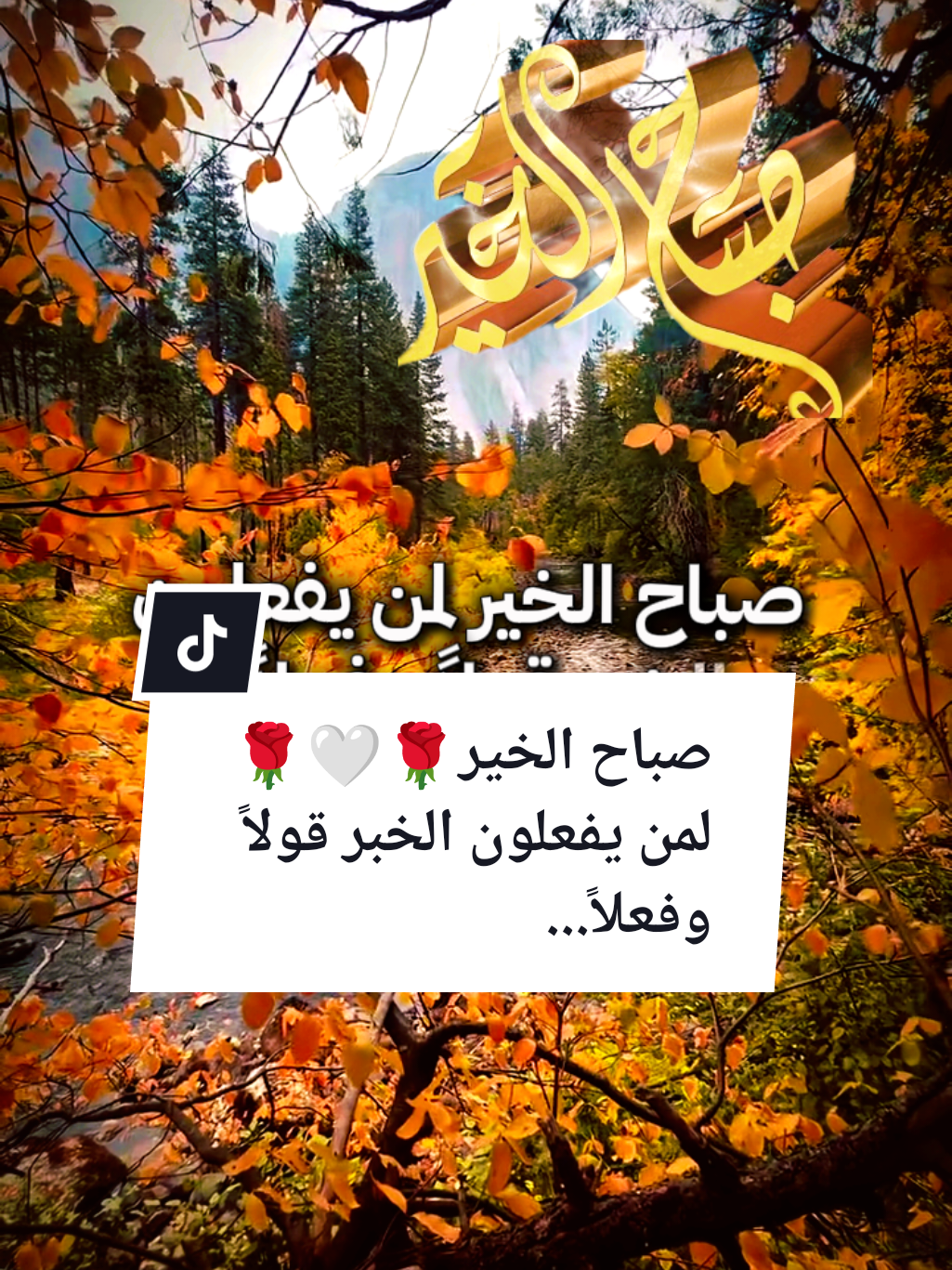 #souzan396 #صباح_الخير  صباح الخير🤍🌹☕لمن يفعلون الخير قولاً وفعلاً...