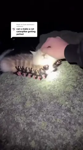 Replying to @Cute stickman  Noooo caterpillar not again!  #cat #ai #sora #sora2 #fyp 
