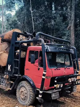 #duniabalak 