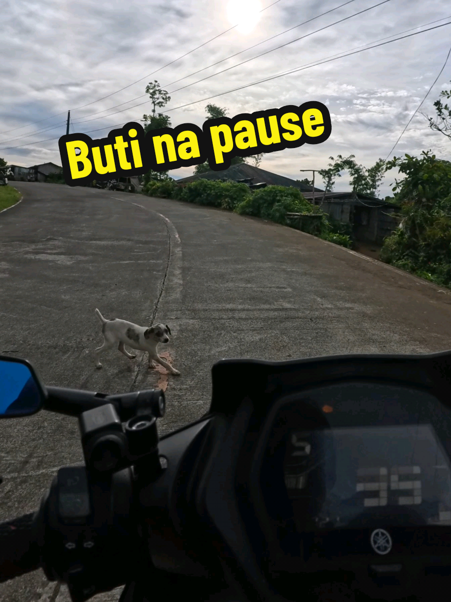 Buti nalang nakapag quit agad. #gta #quitgame #pause #aso #sanandreas 