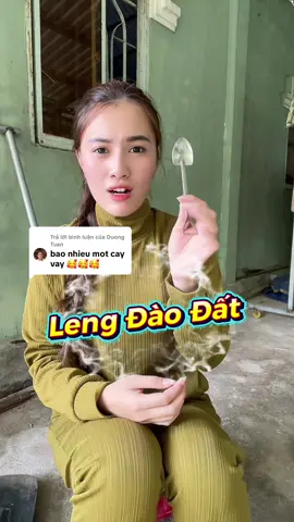 Trả lời @Duong Tuan Leng trui chắt chắn cứng cáp . Lưỡi 2 Li tay cầm cán tuýp dầy 1Li 4 #lengdaodat #lengtrui #dungculamvuon #nhanongmientay 