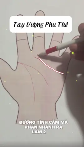 [Phần6] Tướng Tay Vượng Phu Thê#giaimachitay #xemchitay #xemtuvi #fyp #viral 