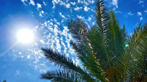 حبك يداويني 🪐🤍#تصويري_احترافي_الاجواء👌🏻🕊😴 #تصوري📸 