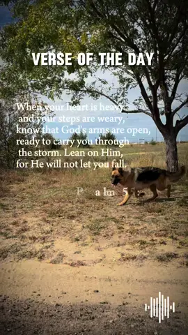 I absolutely love this song!! Someone just said recently that you have to be buried before you can be planted to grow seeds! I thought that was so great!! #pureheartgermanshepherds #pureheartgsd #godisgood #germanshepherds                         . . .                #CapCut 