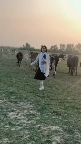 #REPOST💖💖💖💖💖💖💖💖💖💖💖💖💖💖💖💖 #ViralDance #creatorsearchinsights #dgkhan #creatorsearchinsights 