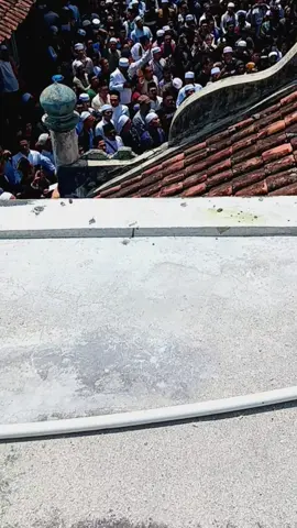 puncak haol mama ilyas cibitung 2025#fyp #xbyzca #haolcibitung #viral #4u 